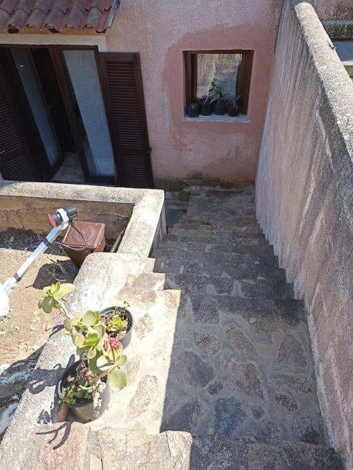 La Dolce Dimora Apartment Olbia Ngoại thất bức ảnh