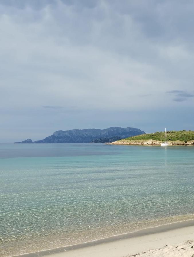 La Dolce Dimora Apartment Olbia Ngoại thất bức ảnh